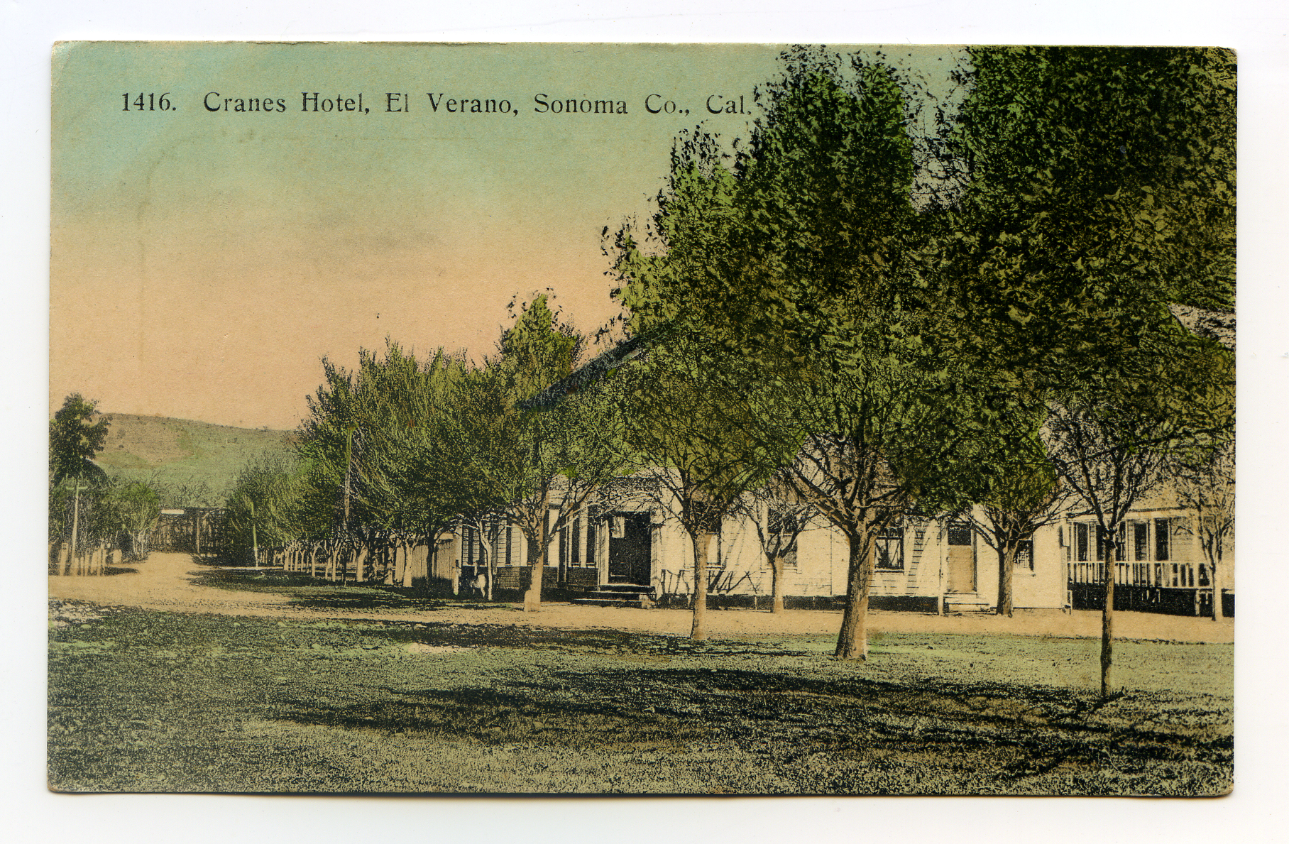 craneshoteltrees1912