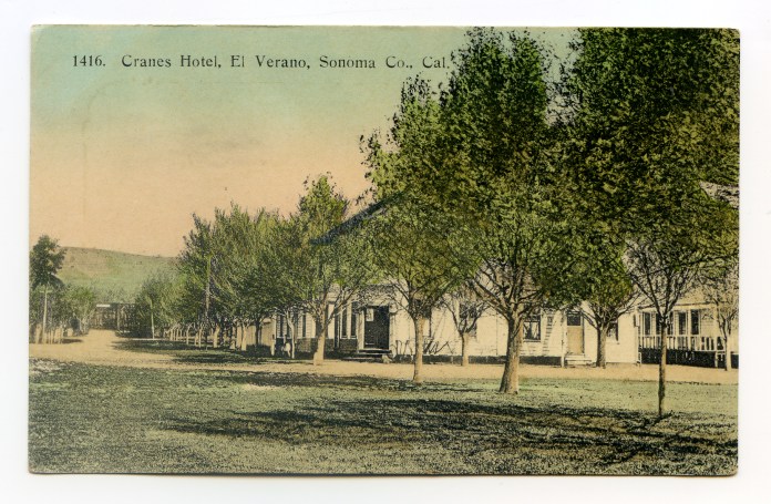 craneshoteltrees1912