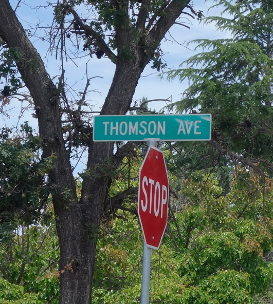ThomsonSignweb