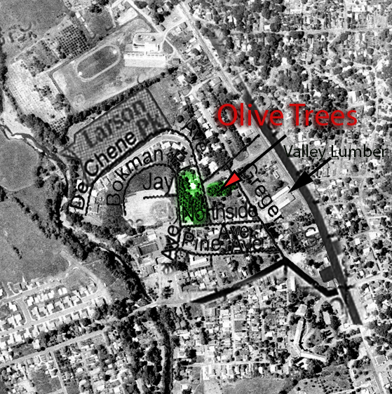 1961AerialWithLabels