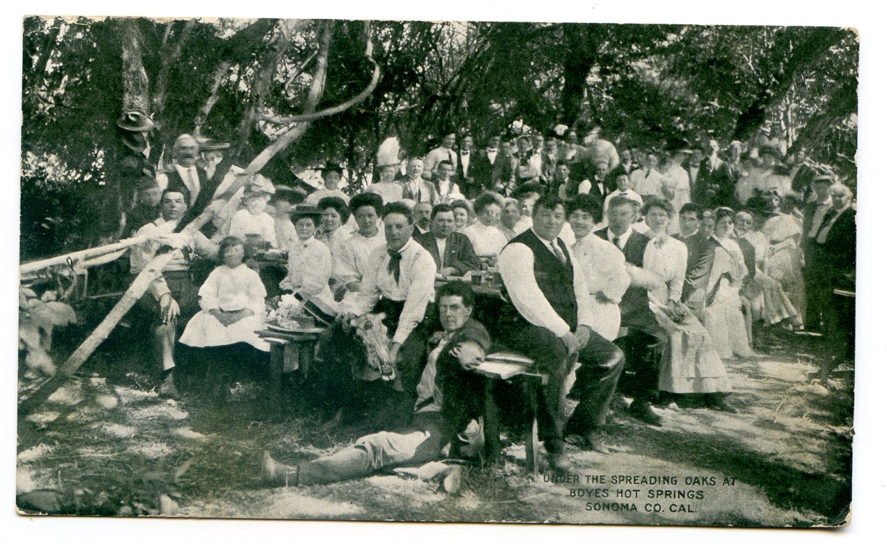 UnderTheSpreadingOaksBHS1908