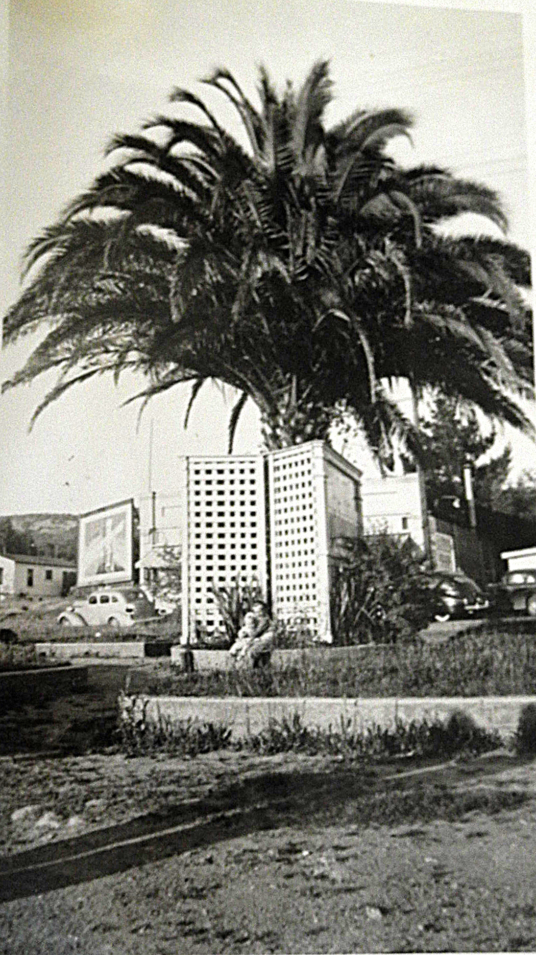 BoyesPlazapalmGriewe