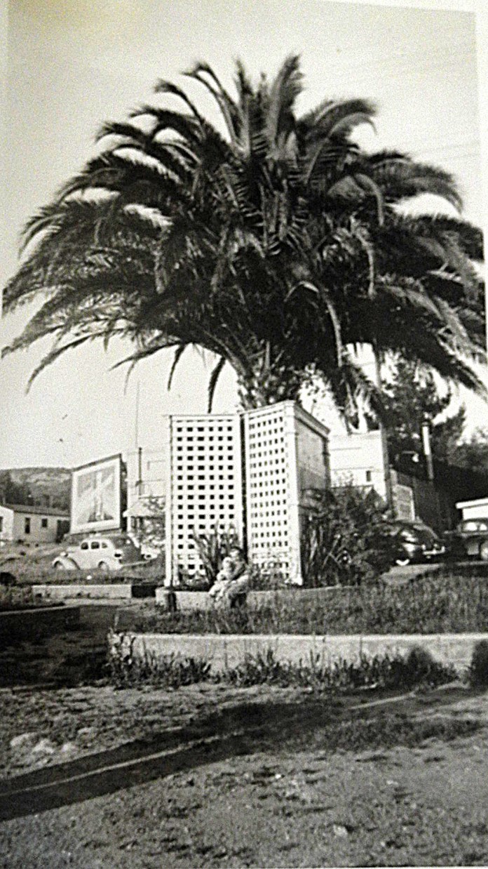 BoyesPlazapalmGriewe