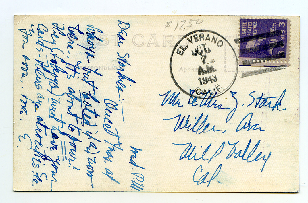 verdierDirvewayZanV9back