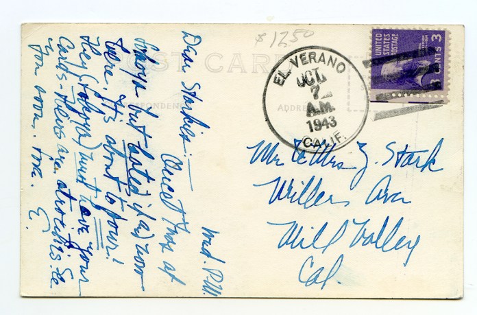 verdierDirvewayZanV9back