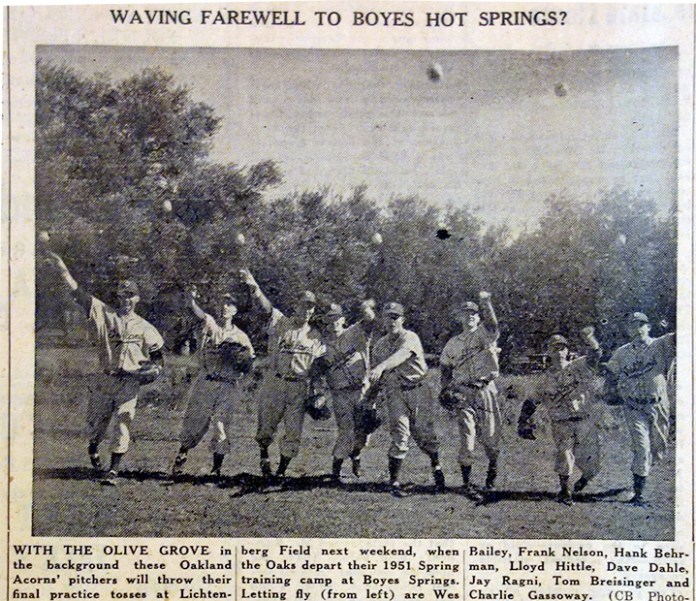 PitcherandOlives1951